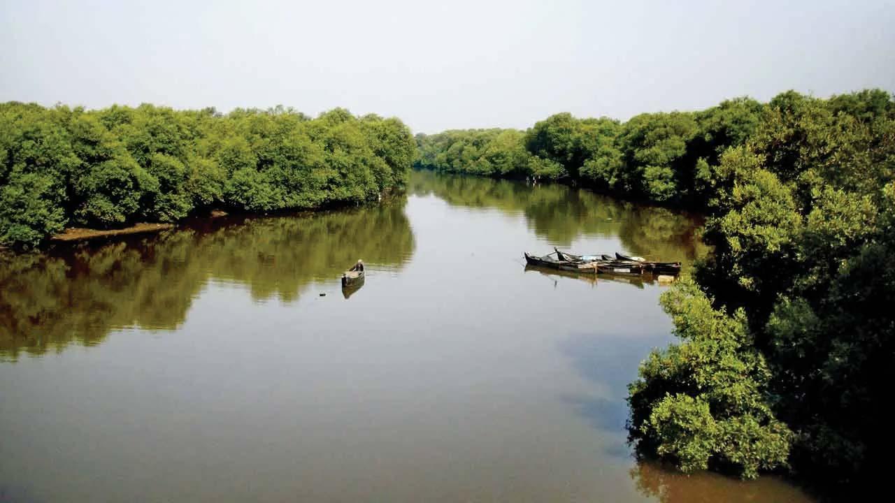 પ્રતીકાત્મક તસવીર