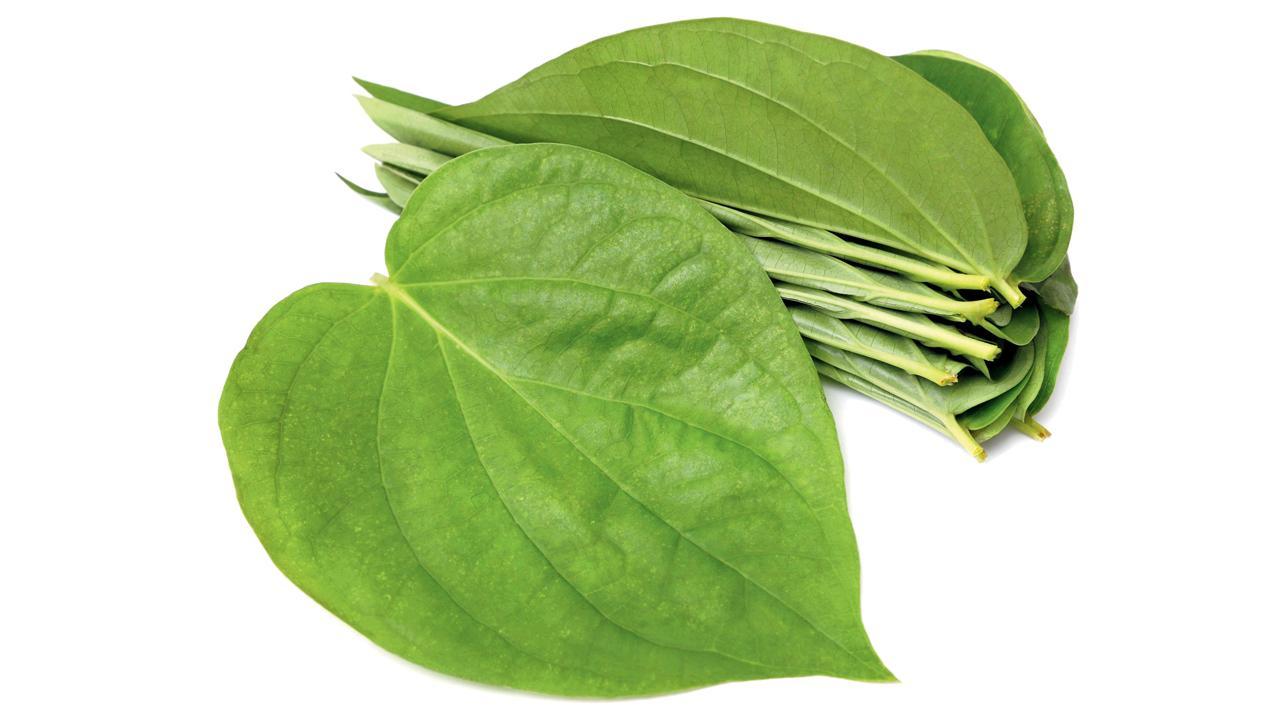 પ્રતીકાત્મક તસવીર