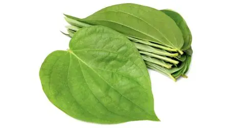 પ્રતીકાત્મક તસવીર