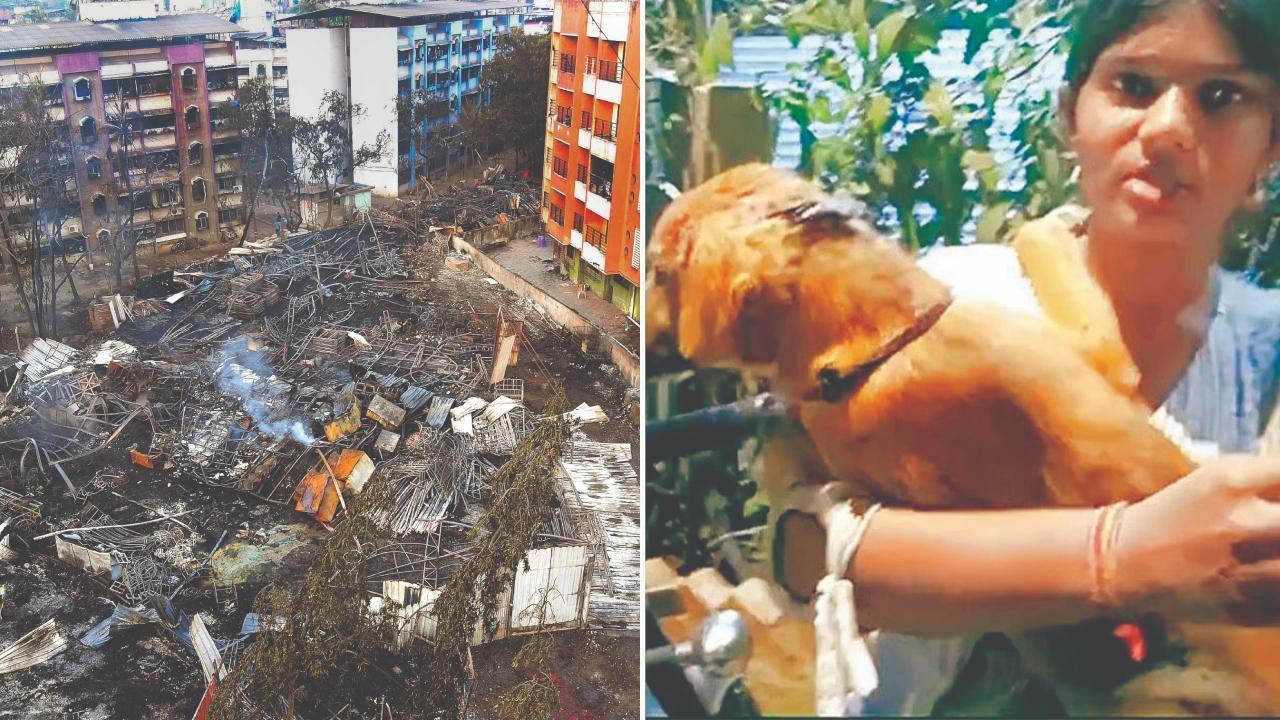 ભીષણ આગમાં ખાખ થઈ ગયેલું મુનશી વેરહાઉસ, બચાવેલા ડૉગ સાથે બહાદુર યુવતી.