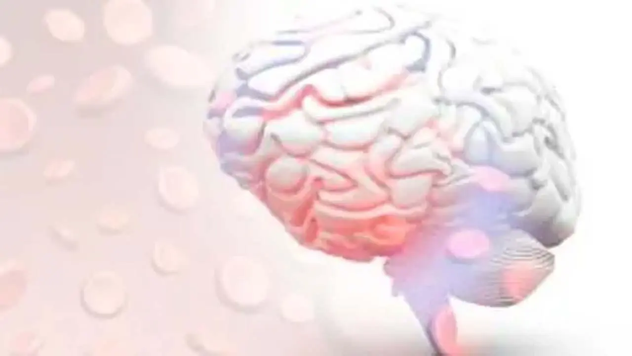 પ્રતીકાત્મક તસવીર