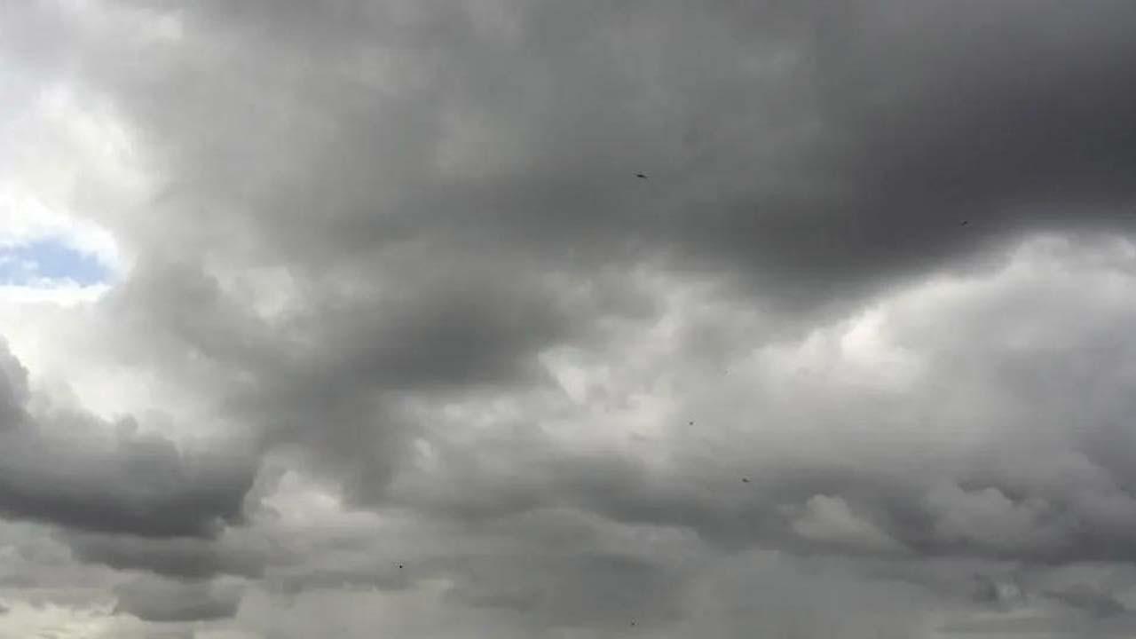 પ્રતીકાત્મક તસવીર