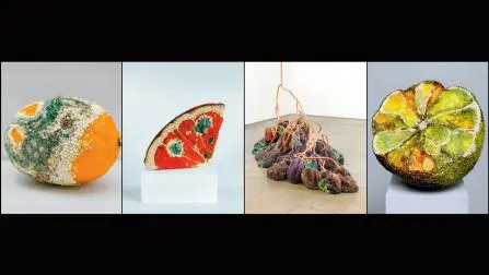 ભલા કોઈ કીમતી રત્નો જડીને ફૂગથી સડેલાં ફળ બનાવે?