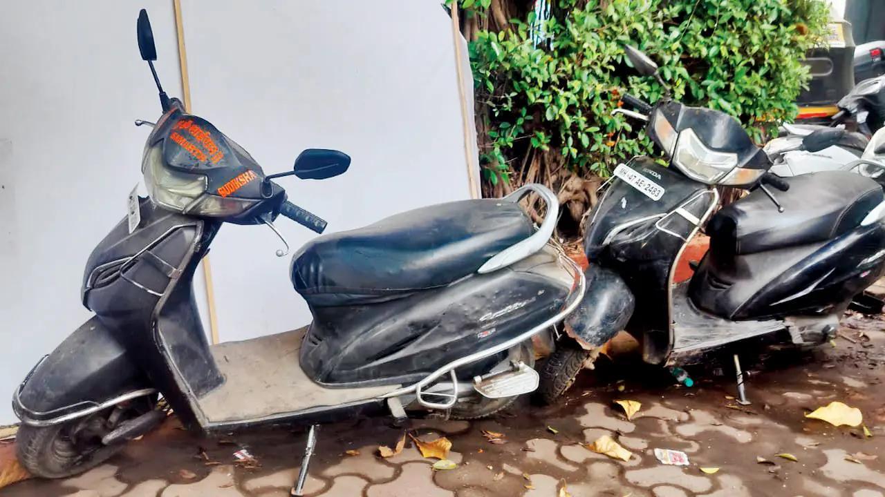 પ્રતીકાત્મક ફાઇલ તસવીર