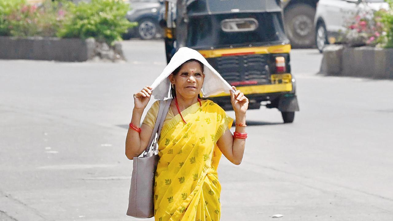 એકાદ-બે દિવસ મુંબઈ મેટ્રોપૉલિટન રીજનમાં આવી જ રીતે ગરમીનો પારો ૩-૩ ડિગ્રી ઉપર રહેશે એવી આગાહી