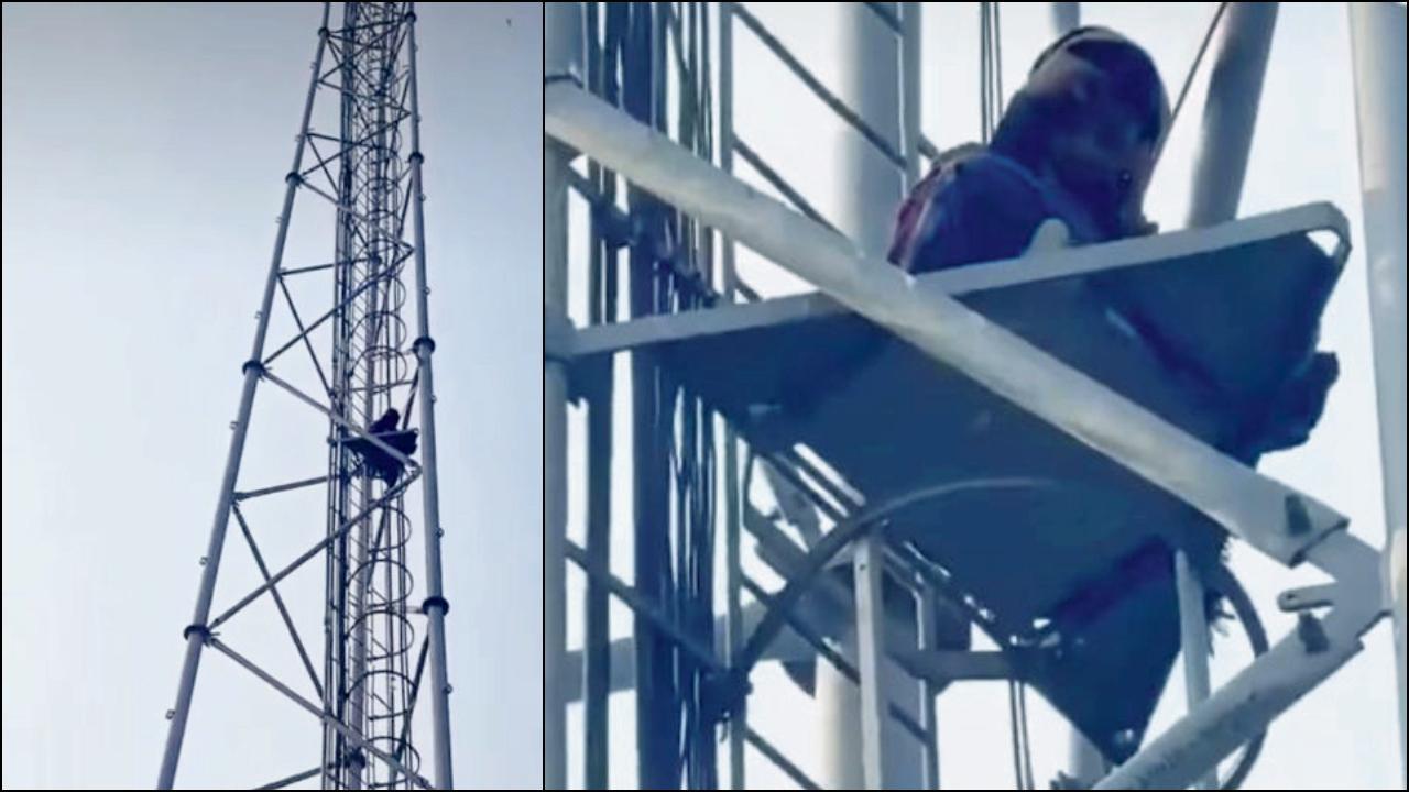 પ્રેમીને પોલીસચોકીમાંથી છોડાવવા માટે પ્રેમિકા મોબાઇલના ટાવર પર ચડી ગઈ