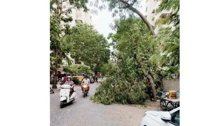 કમોસમી વરસાદ અને મિની વાવાઝોડાની જુગલબંધીથી ગુજરાત થયું પરેશાન