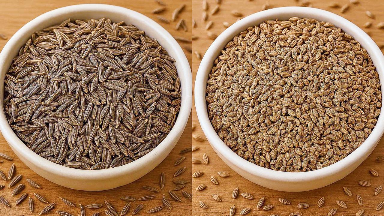 ઉનાળામાં તમારા રૂટીનમાં આપજો અજમા અને જીરાને ખાસ સ્થાન