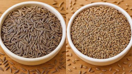 ઉનાળામાં તમારા રૂટીનમાં આપજો અજમા અને જીરાને ખાસ સ્થાન