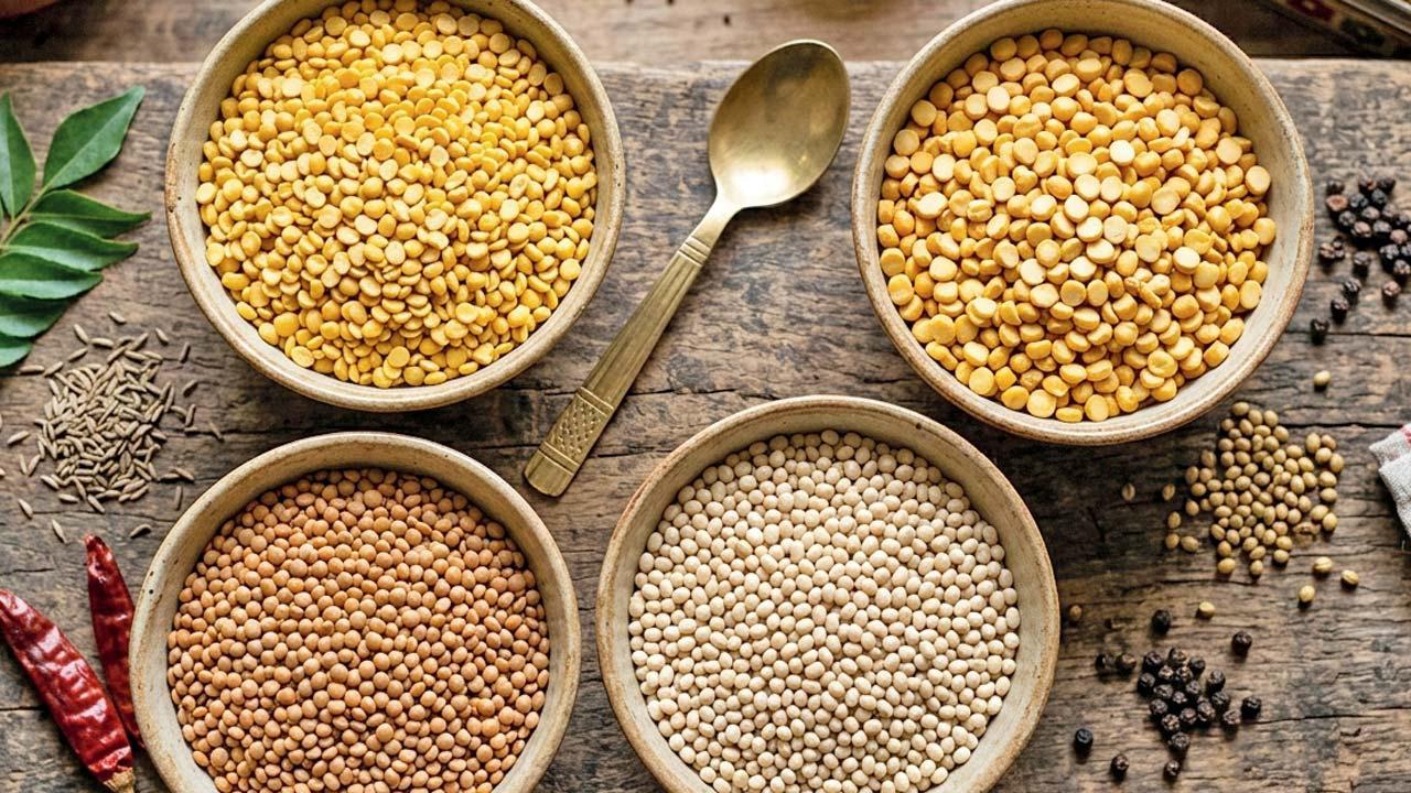 પ્રતીકાત્મક તસવીર