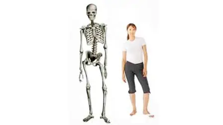 પ્રતીકાત્મક તસવીર