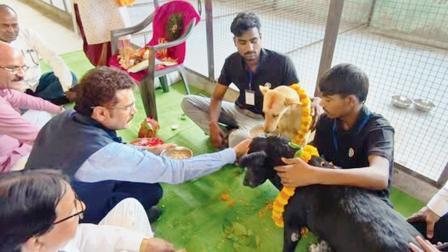 આ વિડિયો વાઇરલ થતાં કેટલાક લોકોએ એને પ્રાણીઓ પ્રત્યેનું સન્માન ગણાવ્યું