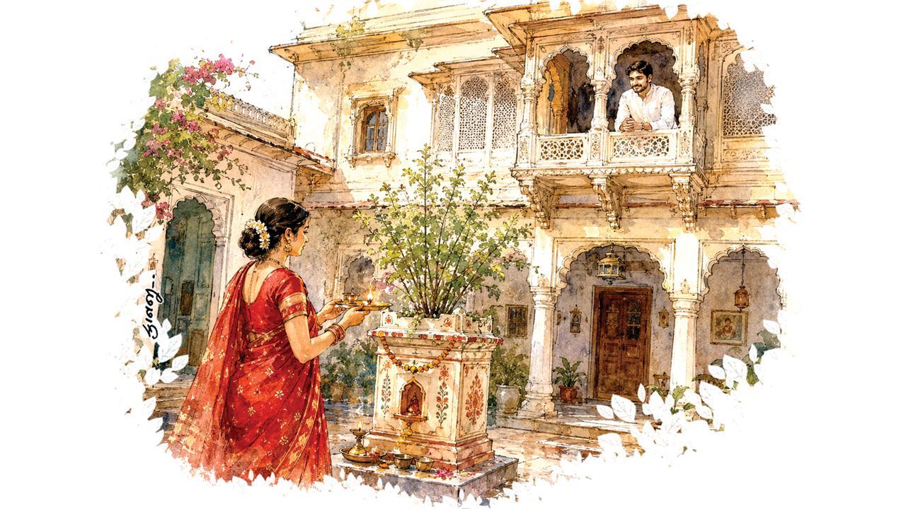 ઇલસ્ટ્રેશન