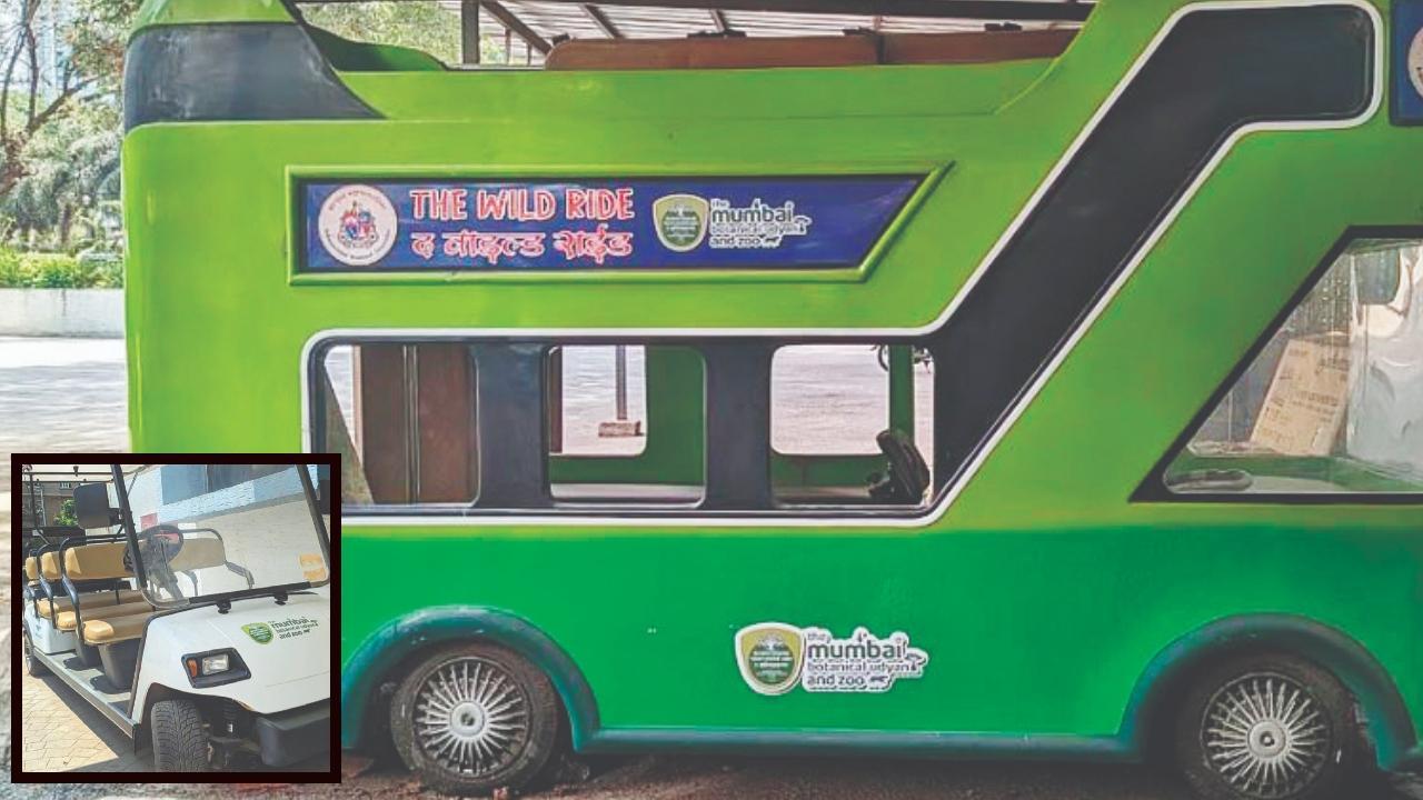 બૅટરીથી ચાલતી ગાડી અને ‘ધ વાઇલ્ડ રાઇડ’ બસ.