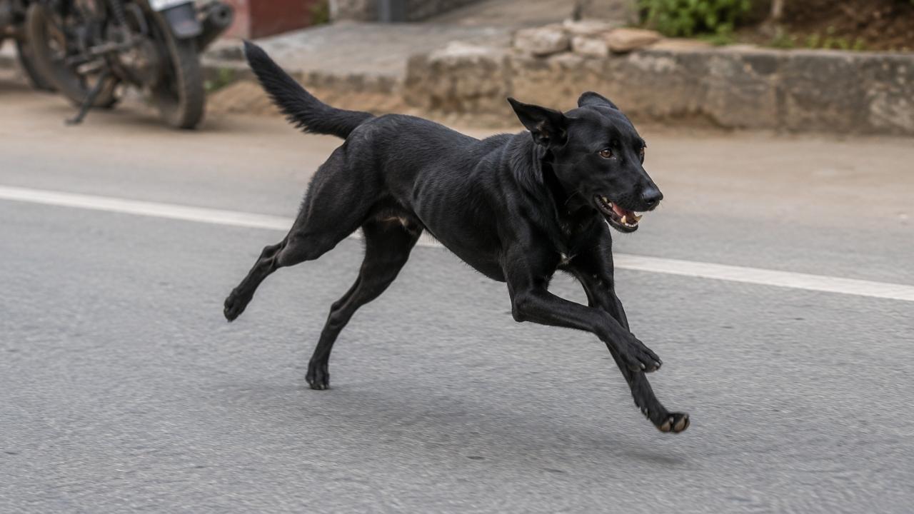 પ્રતીકાત્મક તસવીર (તસવીર સૌજન્યઃ એઆઇ)