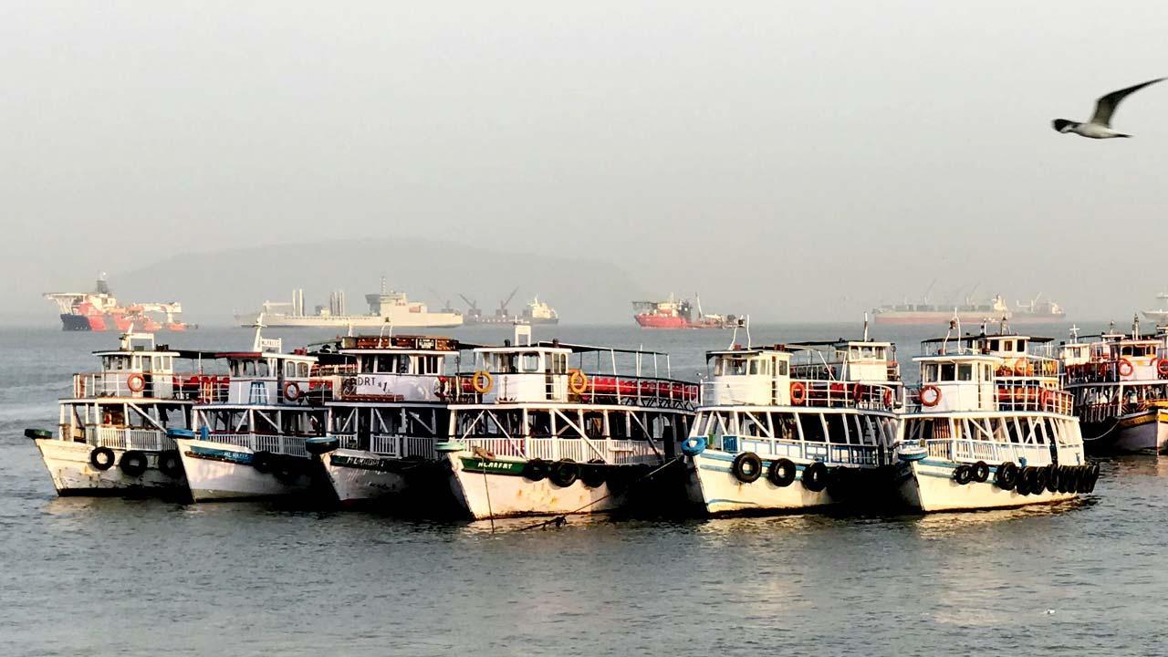 પ્રતીકાત્મક તસવીર