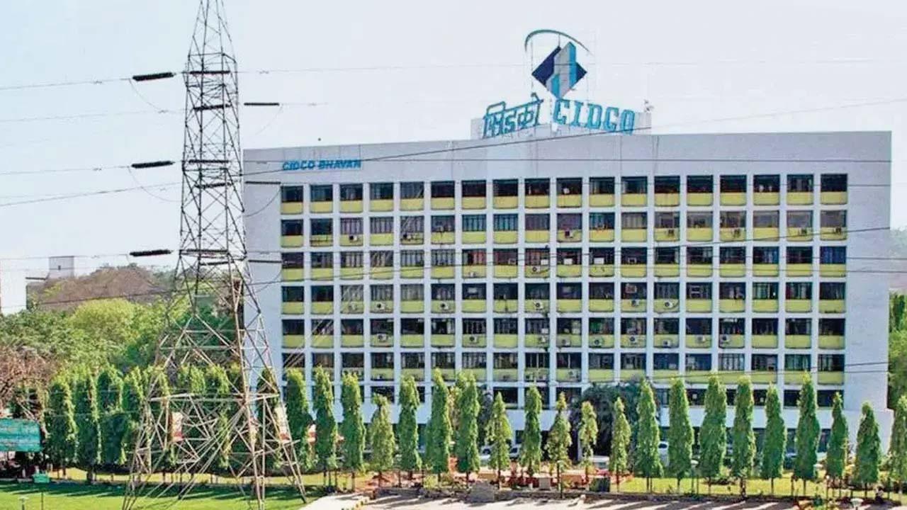 પ્રતીકાત્મક તસવીર
