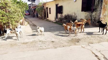 પ્રતીકાત્મક તસવીર