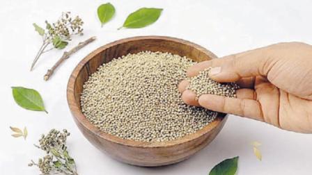 ફોગલાં