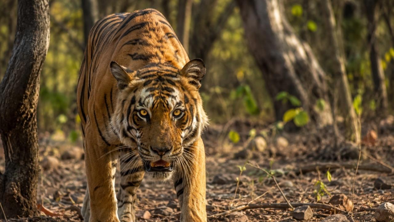 પ્રતીકાત્મક તસવીર (તસવીર સૌજન્યઃ એઆઇ)