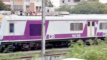 પ્રતીકાત્મક તસવીર