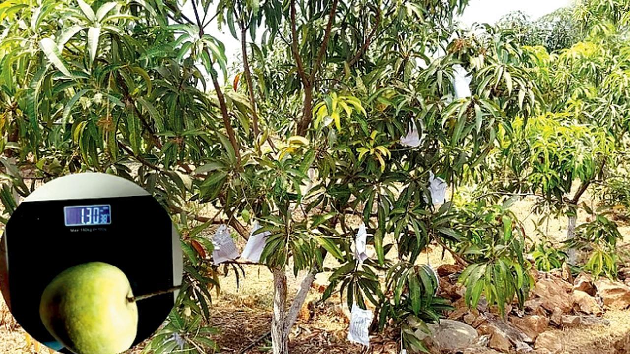 તસવીર સૌજન્યઃ સોશ્યલ મીડિયા