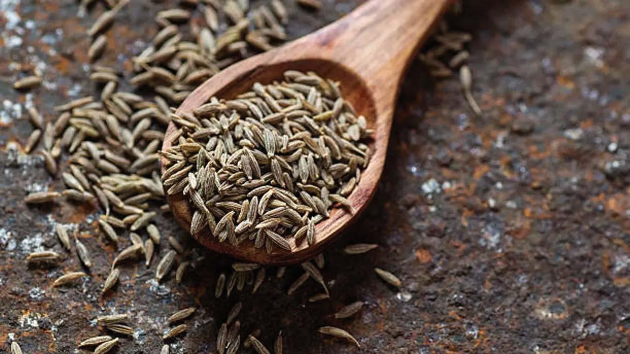 પ્રતીકાત્મક તસવીર