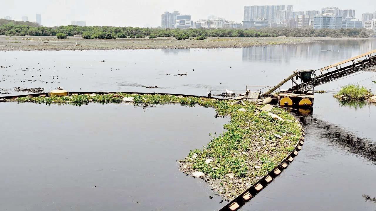 માહુલ નાળું