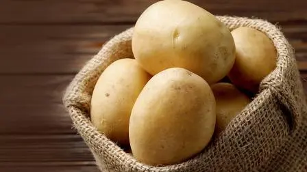 પ્રતીકાત્મક તસવીર