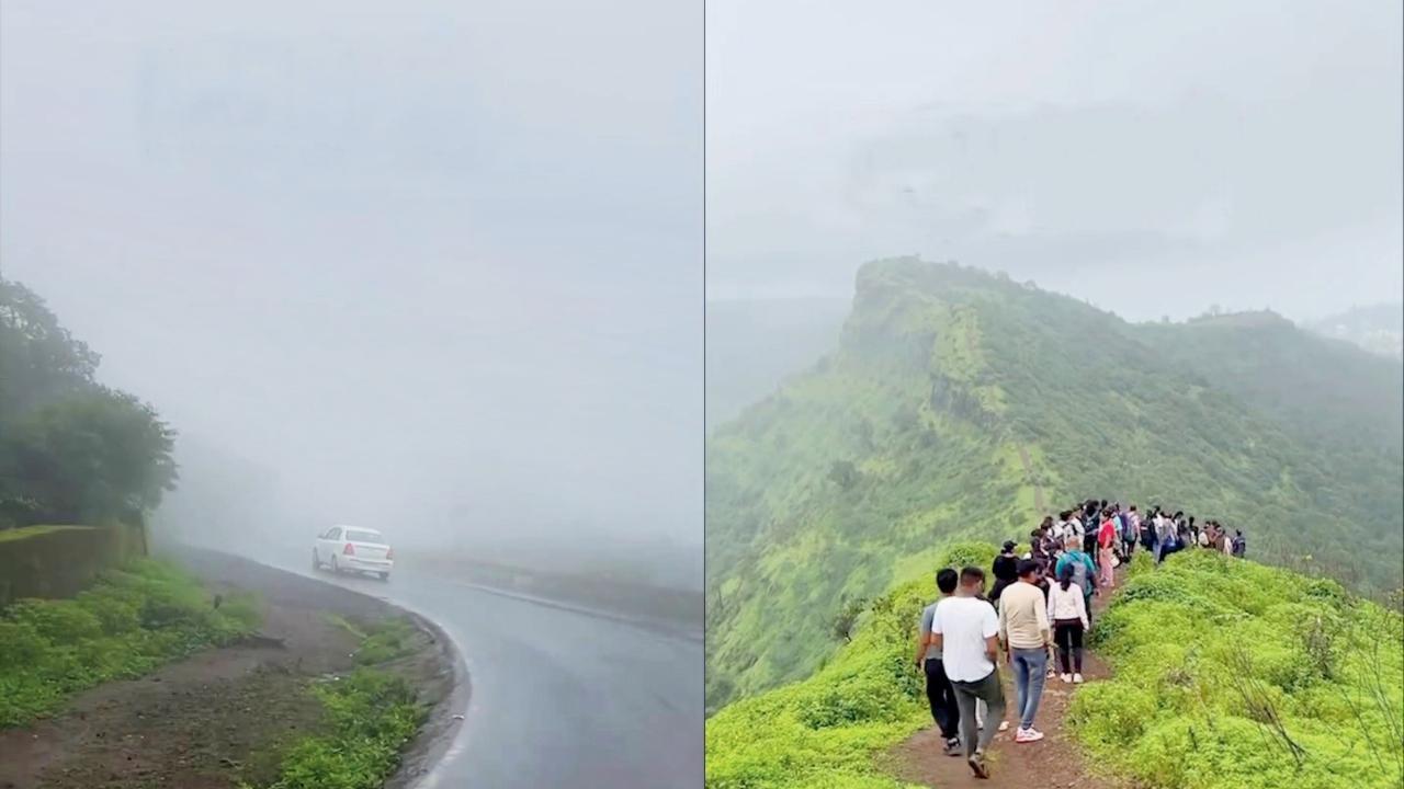 હિલ-સ્ટેશન પર જાણે કે કુદરત મહેરબાન થઈ હોય એમ ડુંગરો પર ધુમ્મસની ચાદર