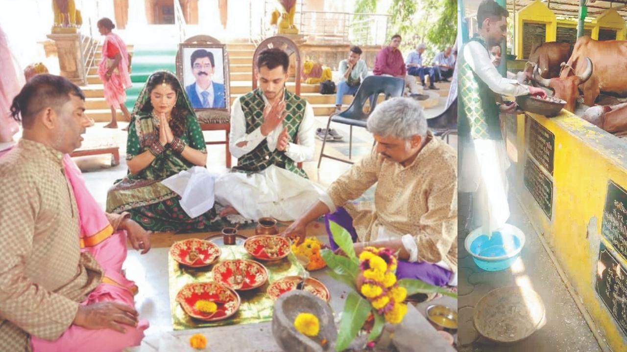 વિરાર પાસેના ઘાટેઘરમાં આવેલી ગૌશાળામાં બેબી શાવરની વિધિ કરી રહેલાં કિશન અને હિમાંશી કાનાબાર. પ્રેમ વલ્લભ ગૌશાળામાં સીમંતની ઉજવણી પ્રસંગે ગાયોને લાપસી ખવડાવી રહેલાં કિશન અને હિમાંશી કાનાબાર.