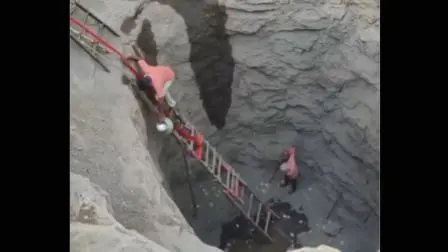 વીડિયોમાંથી લેવાયેલ સ્ક્રીનગ્રૅબ
