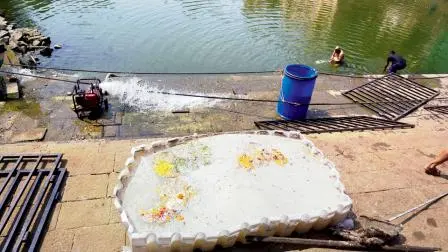 તસવીર : આશિષ રાજે