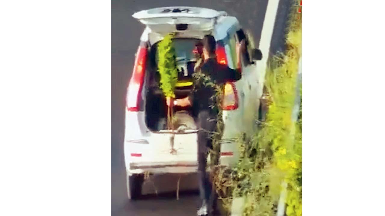 વાઇરલ વિડીયોમાંથી સ્ક્રીનશૉટ