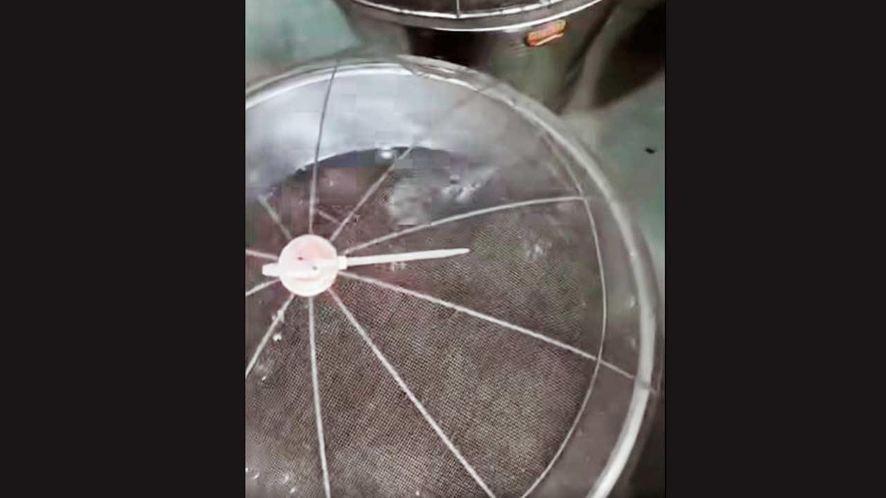 ગુલાબજાંબુના બાઉલમાં તરી રહેલો ઉંદર.