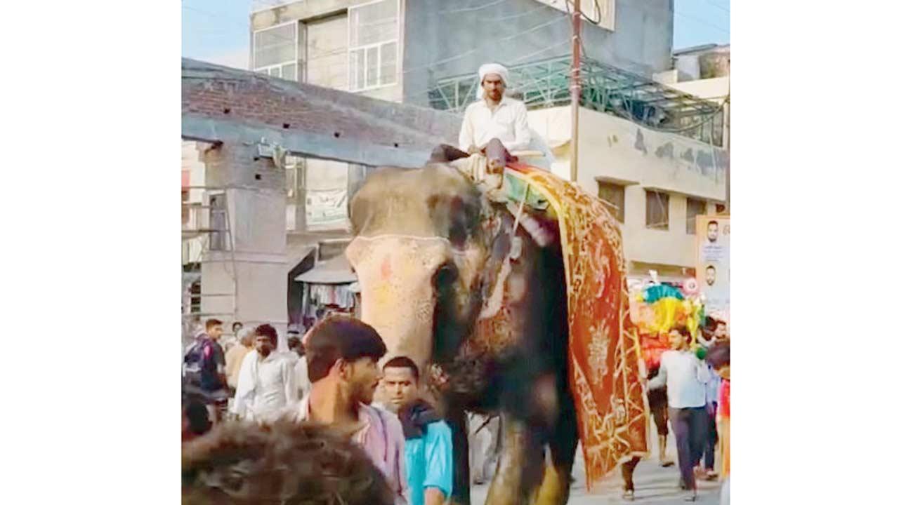 વાઇરલ વિડીયોમાંથી સ્ક્રીનશૉટ