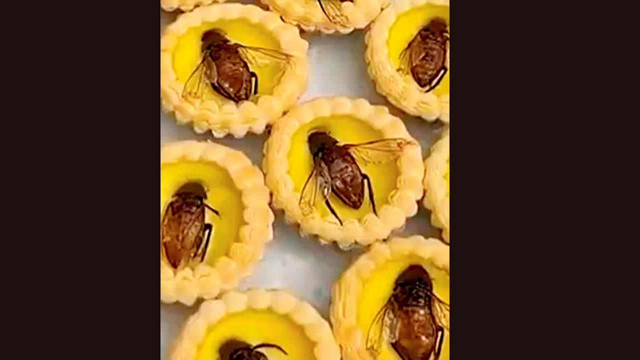 ચીનમાં પેસ્ટ્રીની સાથે કૉક્રૉચ
