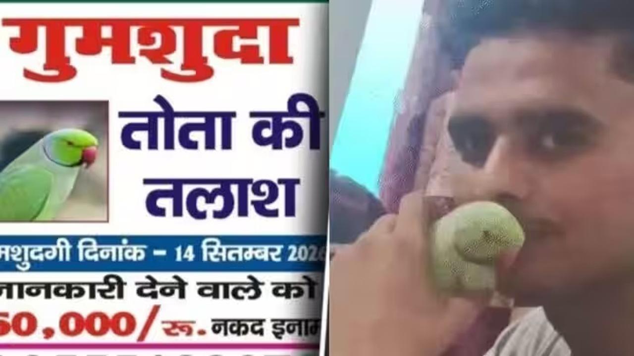 કન્નોજમાં પોસ્ટર્સ છપાવીને મૂક્યાં છે