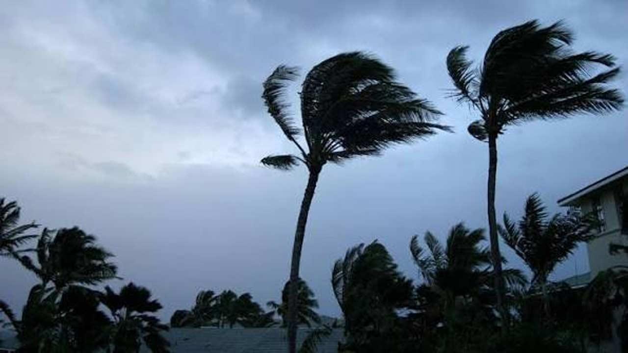 પ્રતીકાત્મક તસવીર