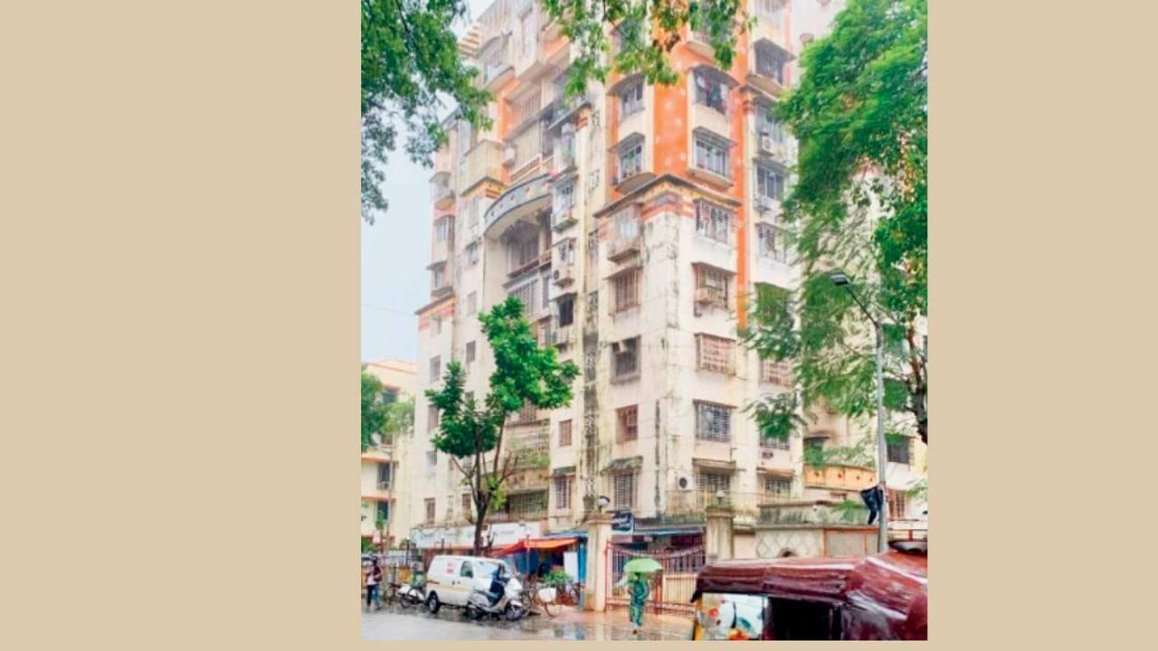 સનરાઇઝ વ્યુ સોસાયટી.     