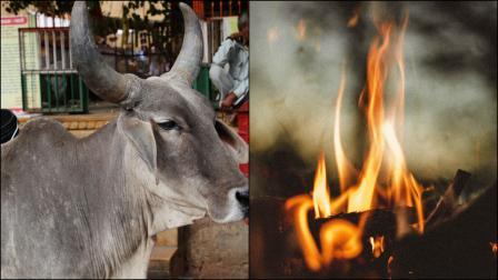 પ્રતીકાત્મક ફાઇલ તસવીર