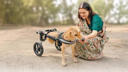 મેનકા ગાંધી
