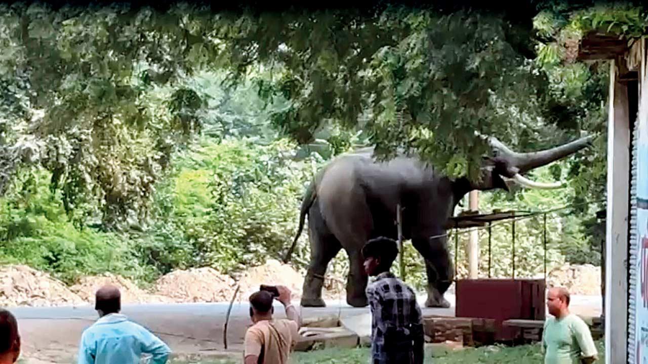 વાઇરલ વિડીયોમાંથી સ્ક્રીનશૉટ