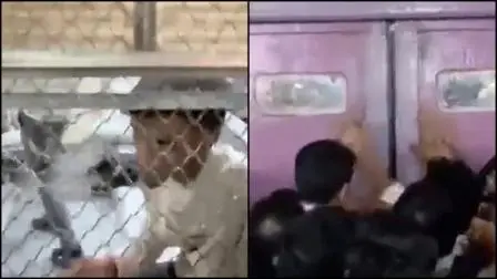 વાયરલ વીડિયોમાંથી સ્ક્રીનશૉટ (તસવીર: સોશિયલ મીડિયા)