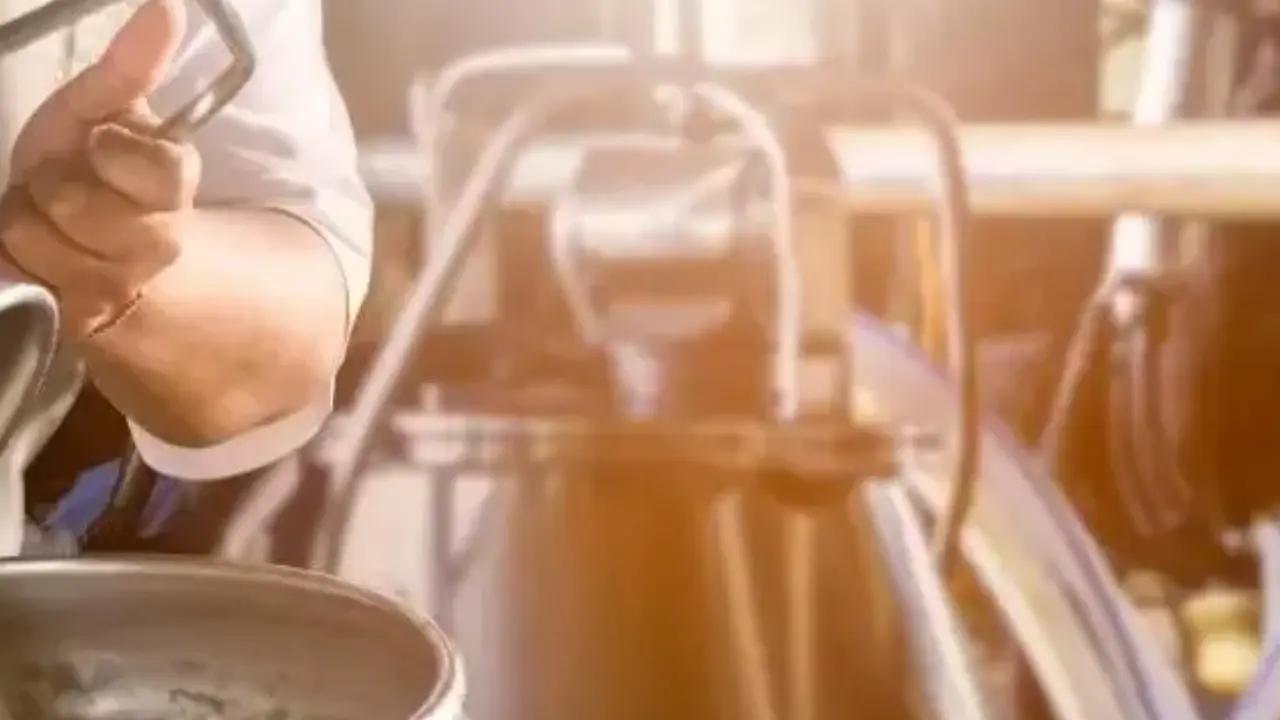 પ્રતીકાત્મક ફાઇલ તસવીર