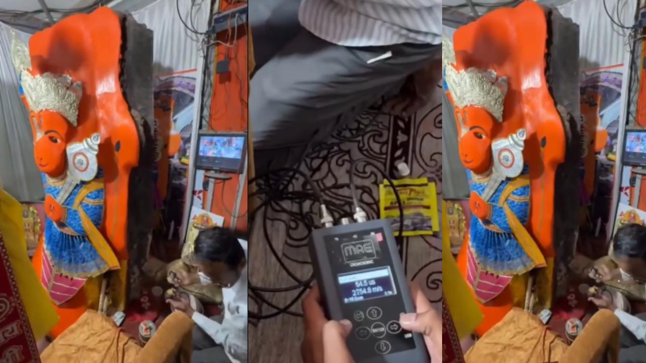 વીડિયોમાંથી લેવાયેલ સ્ક્રીન ગ્રૅબનો કૉલાજ