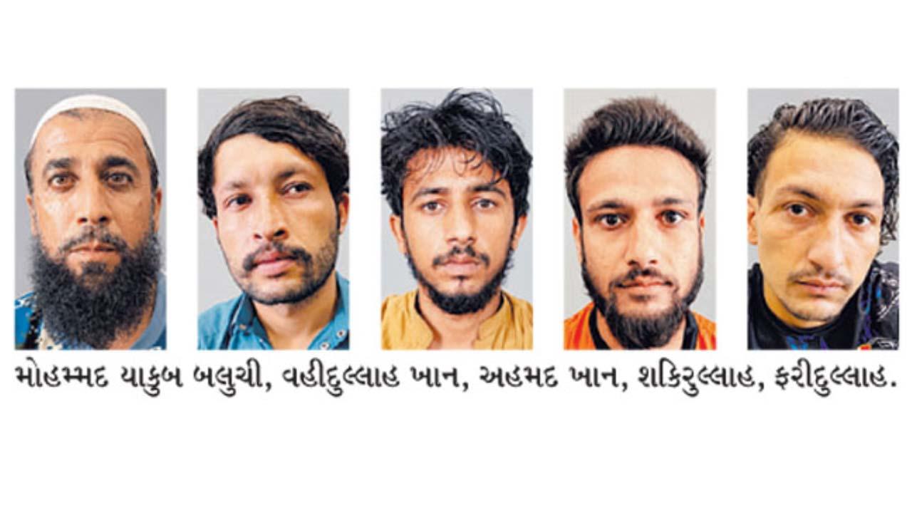 પકડાયેલા પાકિસ્તાનીઓ