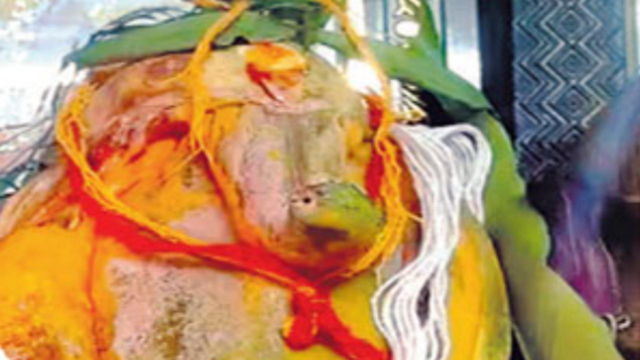 પપૈયામાં જોવા મળી ગણેશજીની આકૃતિ
