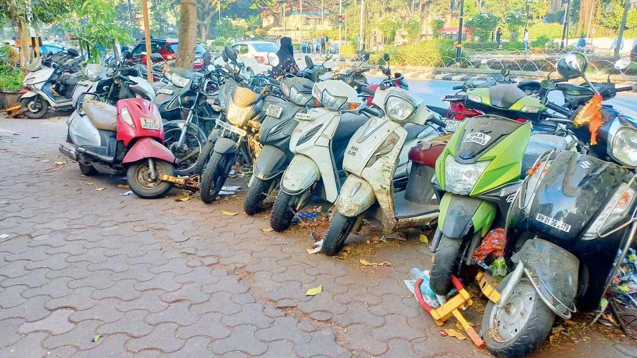 પ્રતીકાત્મક ફાઇલ તસવીર