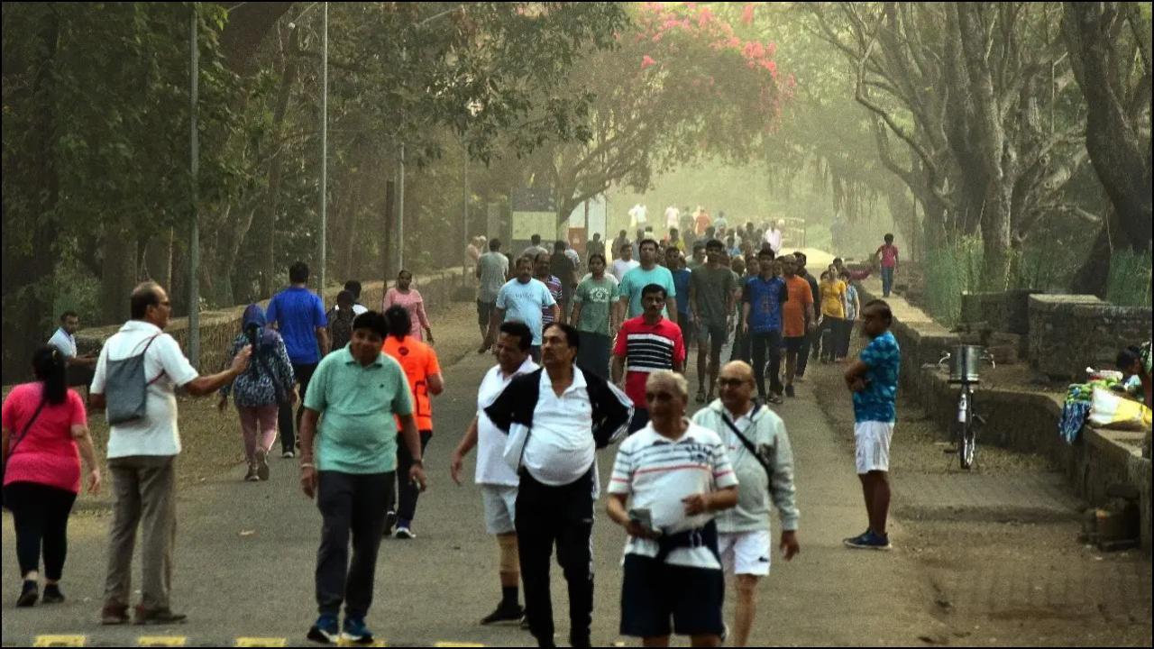 સંજય ગાંધી નૅશનલ પાર્કની ફાઇલ તસવીર 